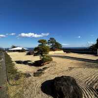 Bonsai garden inside ACAO forest