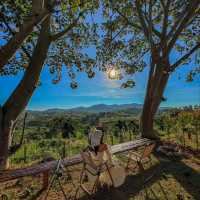 ที่พักเปิดใหม่เขาค้อ สไตล์แกลมป์ปิ้ง ฟีลดีมาก เพียงคนละ 590 บาท🏕️⛰️