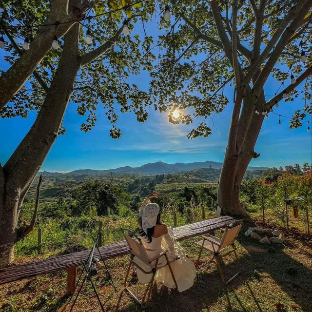 ที่พักเปิดใหม่เขาค้อ สไตล์แกลมป์ปิ้ง ฟีลดีมาก เพียงคนละ 590 บาท🏕️⛰️