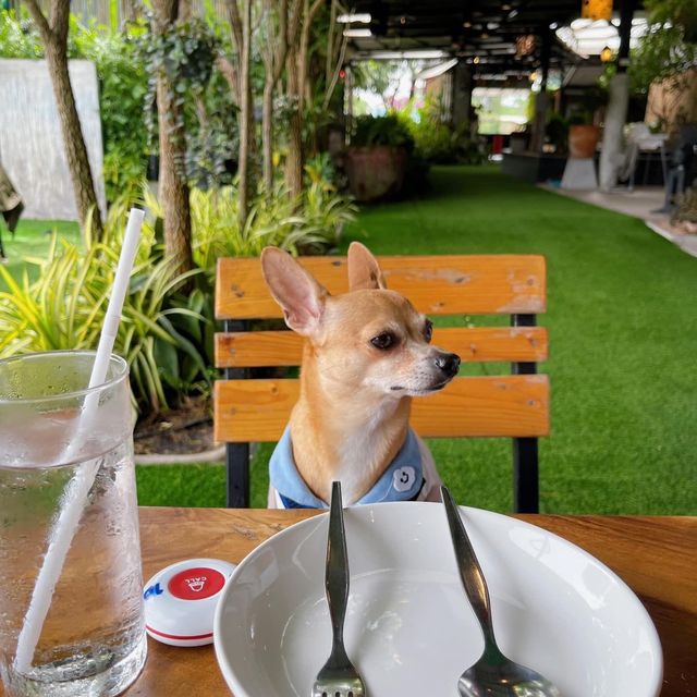 ครัวบ้านแซ่บ ปทุมธานี