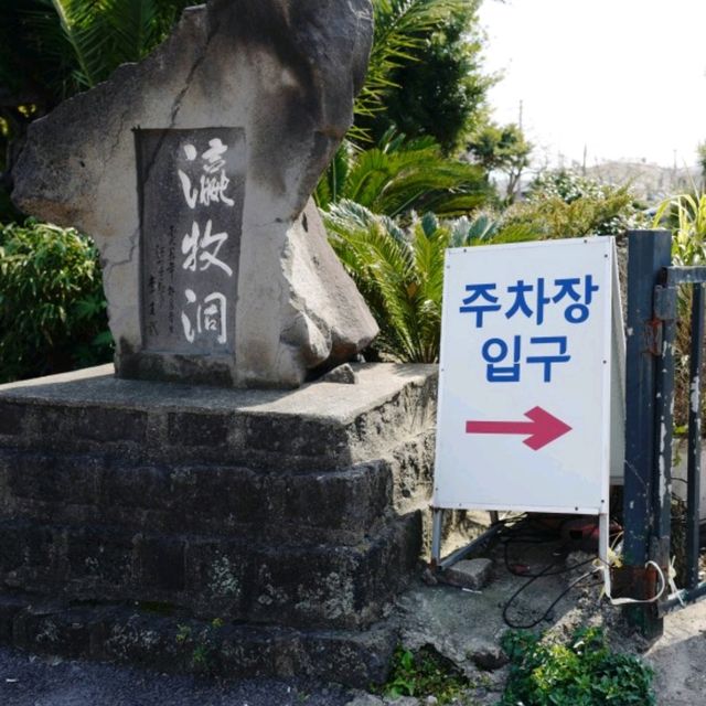 제주여행 제주도 맛집 신촌덕인당