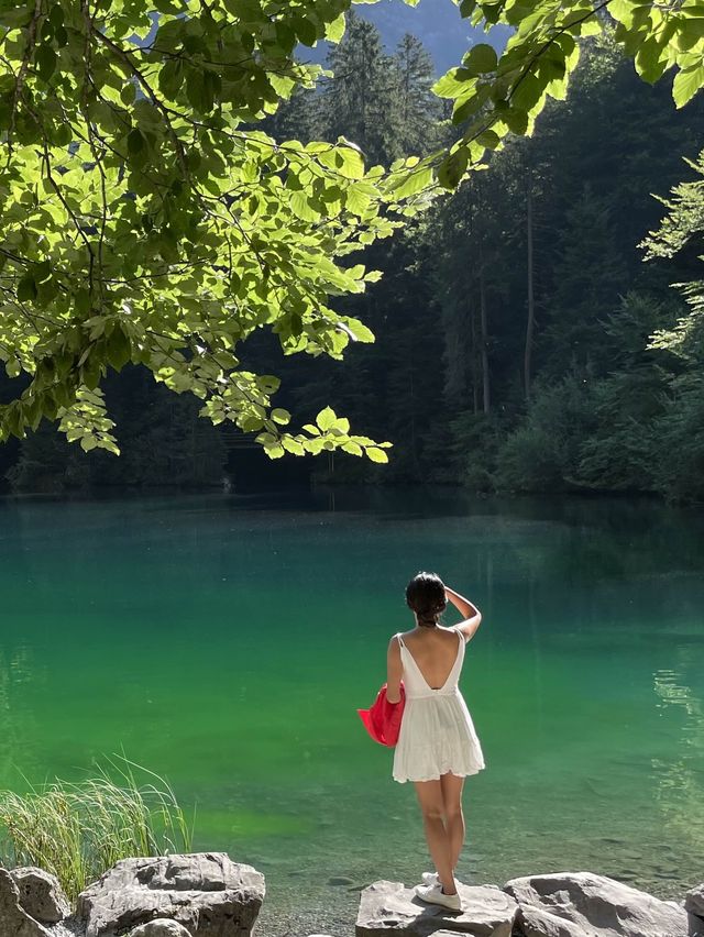 요정출몰주의!! 블라우제 네이쳐 파크🧚🍃