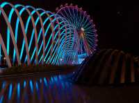 Shenzhen got wheel- 🎡 Bay Glory-湾区之光 