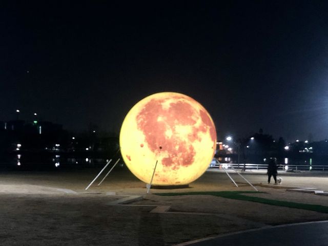 ‘밤 나들이’에도 좋은 일산 호수공원! 