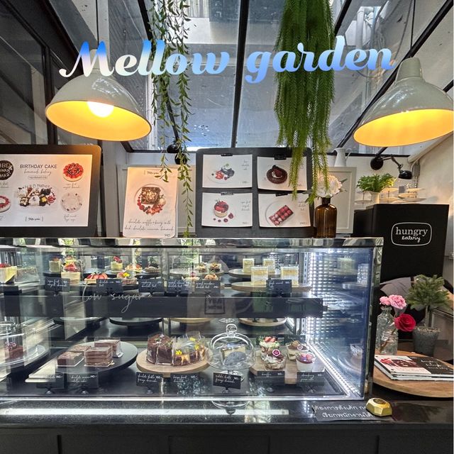 Mellow garden 🪴 ร้านสวย