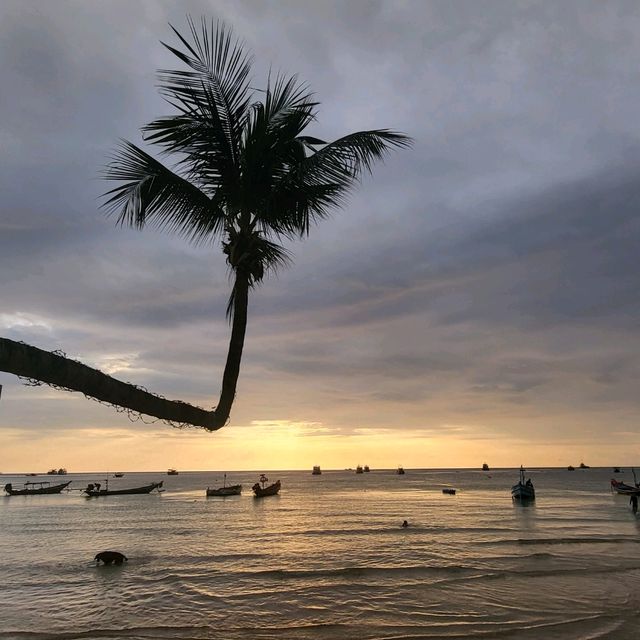 หาดทรายรี เกาะเต่า