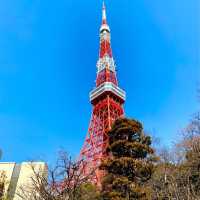 Tokyo tower Stunning views