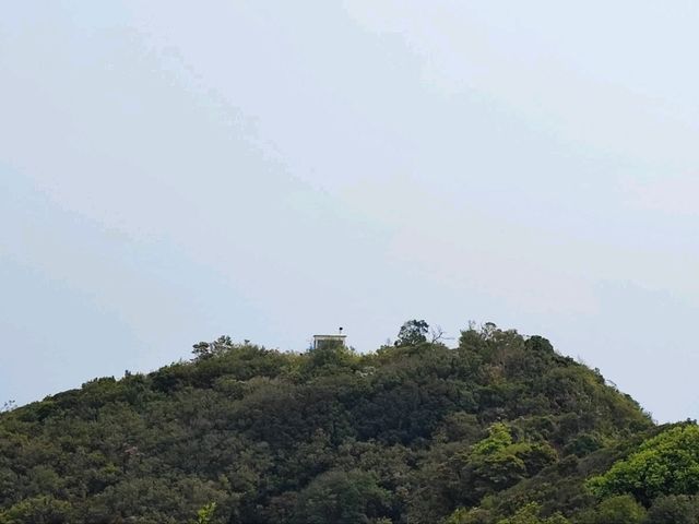 唔係淨係老人先可以去既山 ~ 老人山