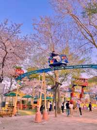 동화 속에 온 듯한 벚꽃뷰 놀이공원 🎡🌸