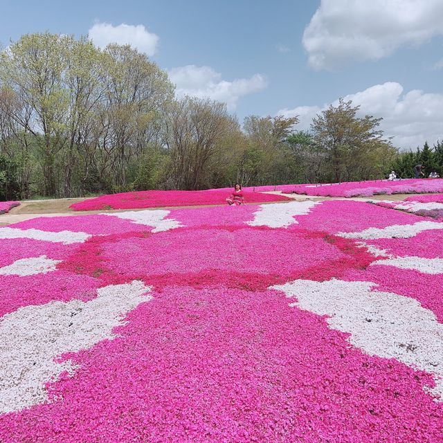 広島県　世羅　花夢の里