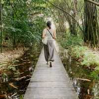 Little tree garden คาเฟ่ที่ต้นไม้โอบรับผู้มาเยือน