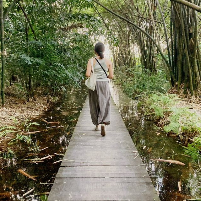 Little tree garden คาเฟ่ที่ต้นไม้โอบรับผู้มาเยือน