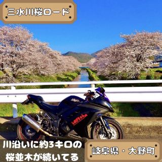 미즈카와 벚꽃 로드