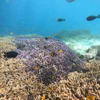 Serene Lombok and Party scenes at Gili