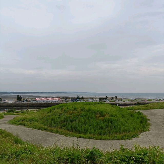 望海步道草地區