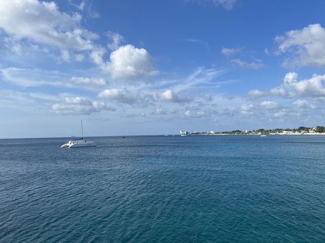 【カリブ海に浮かぶ】コスメル島