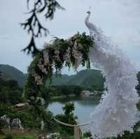 𝑩𝑨𝑹𝑴𝑬 𝑻𝒆𝒂&𝑻𝒂𝒔𝒕𝒆 : พิกัดคาเฟ่เมืองกาญ 