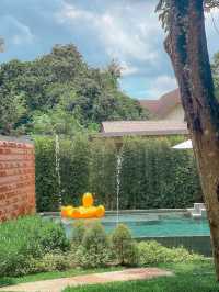 ✨พักผ่อนชมธรรมชาติ 🌳 กับรีสอร์ทสุดหรู ใจกลางเมือง