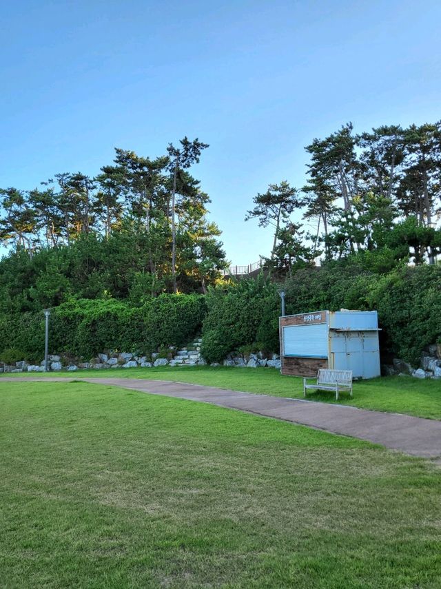 바다바람 맞으며 초록 피톤치드도 느끼는 송정공원🌲