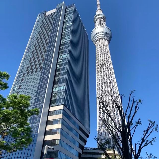 🎉 晴空塔旁-押上里士滿酒店🏨🎉