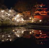 night view with takada castle 🏰 