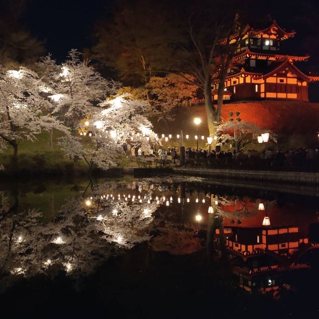 night view with takada castle 🏰 