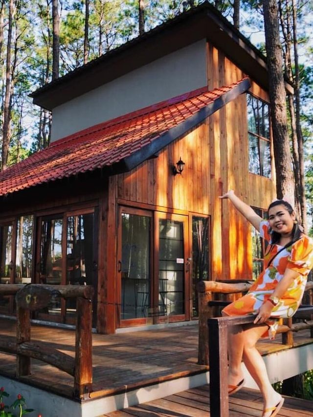 🌲สวนป่าดอยบ่อหลวง จ.เชียงใหม่
