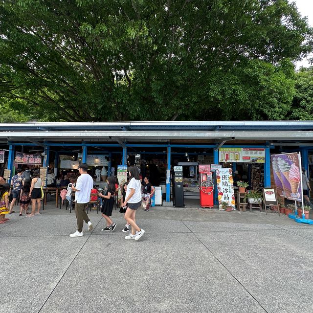 台東的多良車站