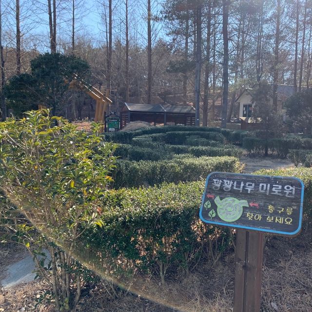 다양한 식물을 만나볼 수 있는 곳, 진주 수목원 
