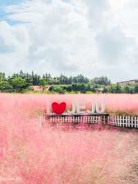 🎀가을 아름다운 분홍빛의 꽃 천국 [제주, 휴애리자연생활공원] 🍁