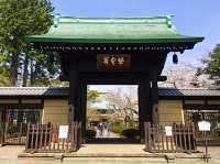 【東京都/豪徳寺】大小さまざまな招き猫がいる寺院
