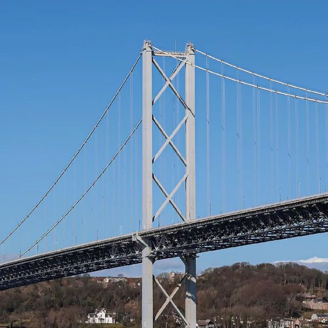 Inchcolm Island🏖️ 鳥語花香海島