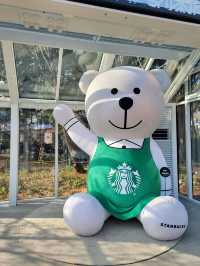 왕크니까 왕귀여운 베어리가 있는 부산 스타벅스💚