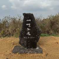 제주 황금억세 가득한 새별오름의 감동샷