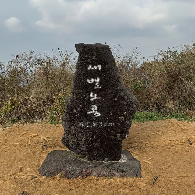 제주 황금억세 가득한 새별오름의 감동샷