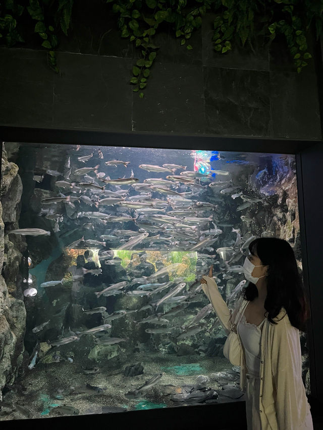 추위걱정 없는 실내 데이트는 아쿠아리움🩵🐠