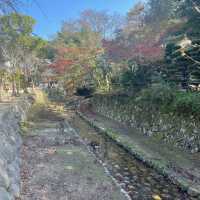 【広島】秋の宮島グルメ旅🍁