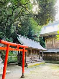【島根県/物部神社】2023年行ってよかった！島根県の神社11