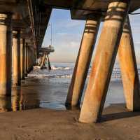 Venice Bliss: Sun, Sand, and SoCal Magic