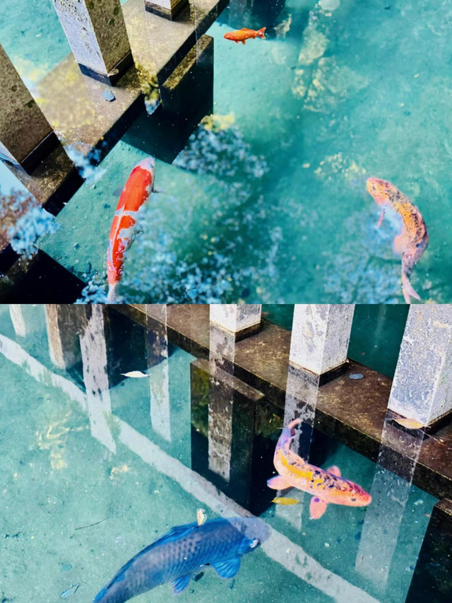 【絶景】神秘的な美しさのパワースポット⛩