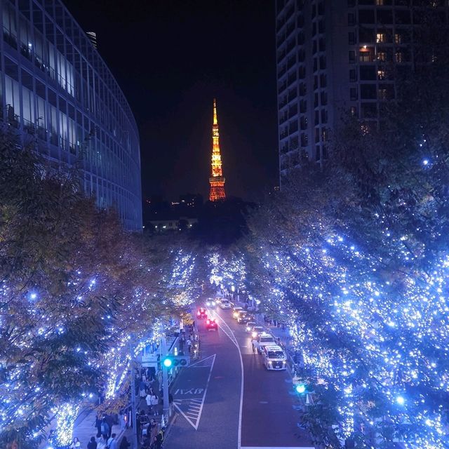 Magical Illuminations at Roppongi
