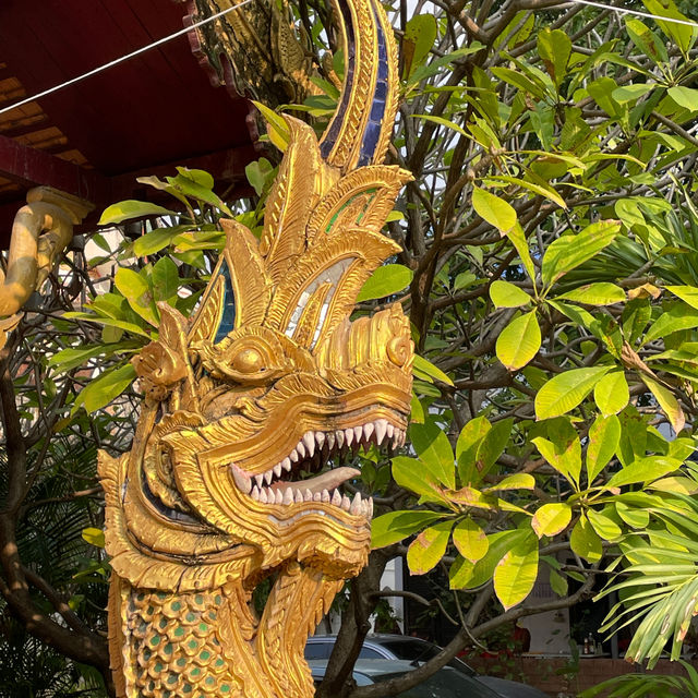 Charm of Wat Chang Kong