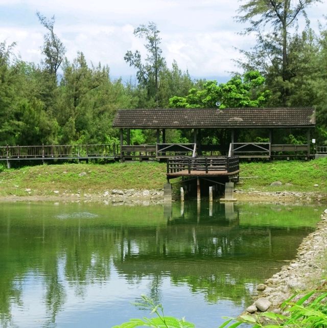 絕美密境~台東森林公園琵琶湖