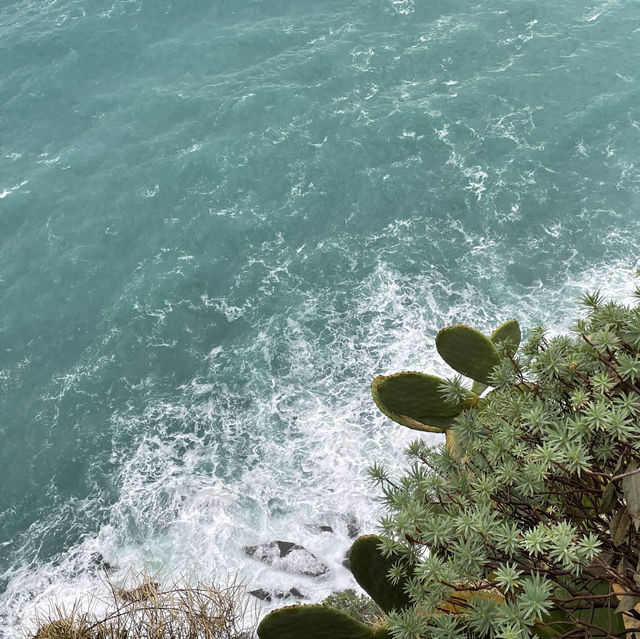 Italy Cinque Terre a postcard coming to life