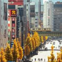 Akihabara Electric Town 🇯🇵