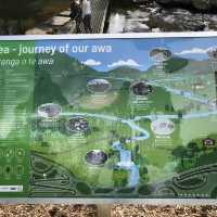 Whangarei Wonders: Nature's Symphony