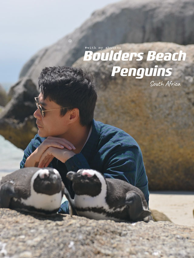 Boulders Beach : Simon's Town หาดแพนกวิ้น