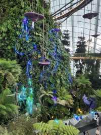 Avatar themed Cloud Forest in Singapore