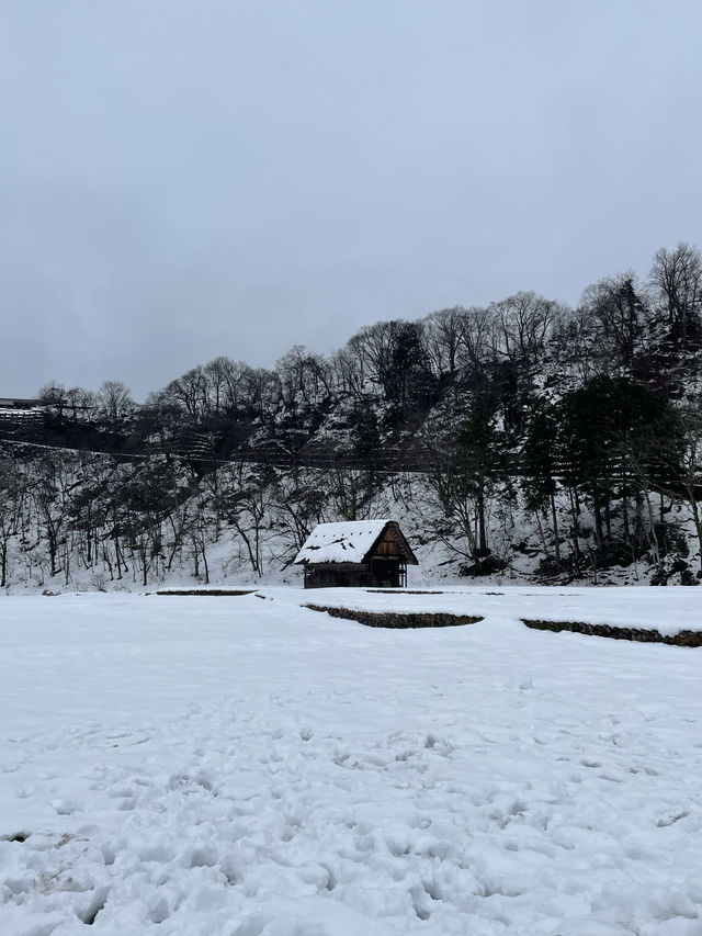 白川鄉合掌村｜世界文化遺產、征服日本的童話世界！🥰