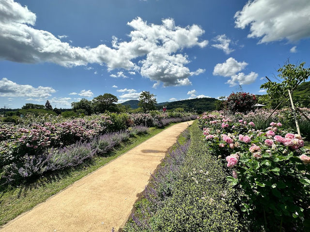 IBARAKI FLOWER PARK